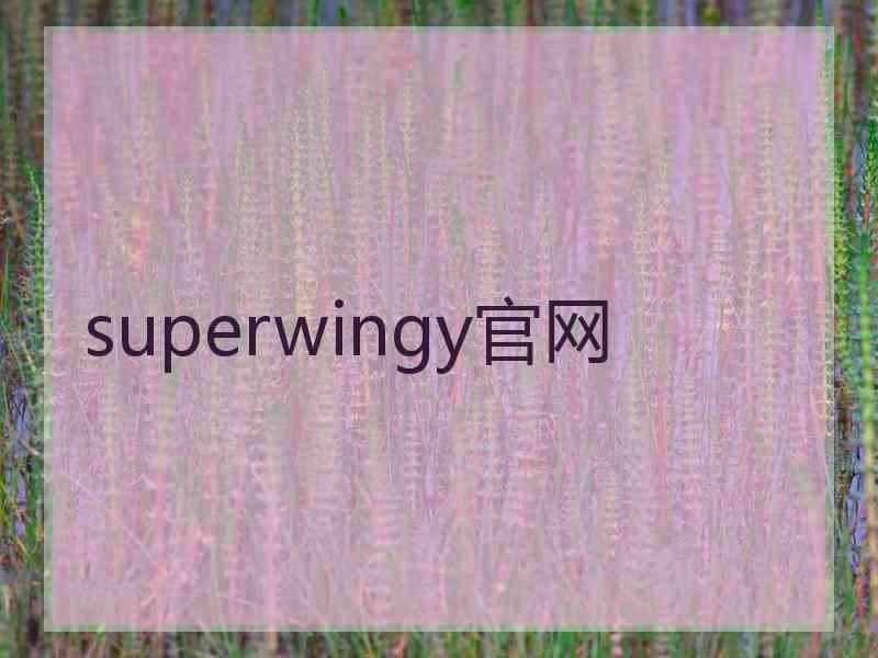 superwingy官网