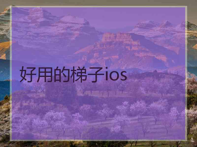 好用的梯子ios