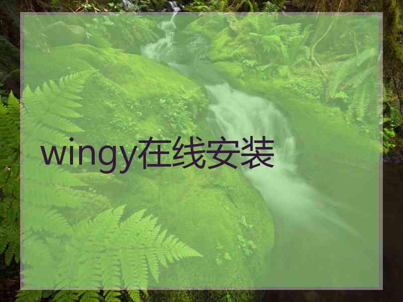 wingy在线安装