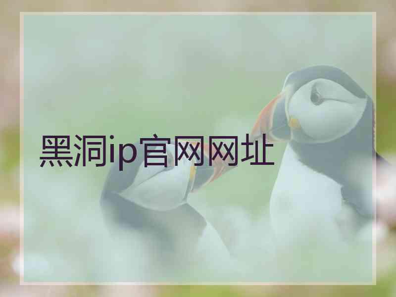 黑洞ip官网网址