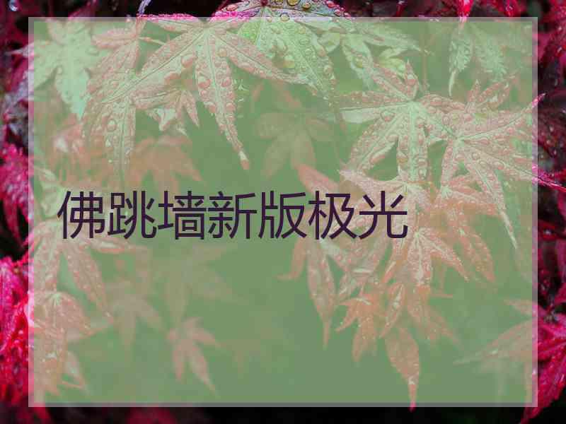 佛跳墙新版极光
