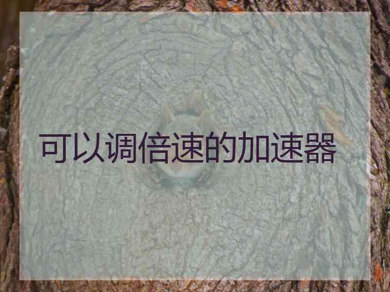 可以调倍速的加速器