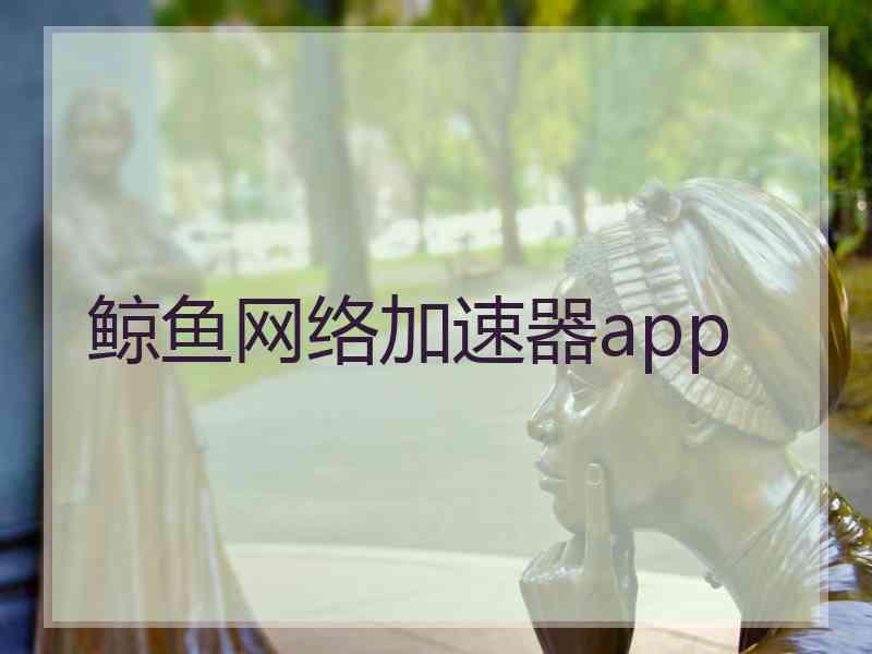 鲸鱼网络加速器app