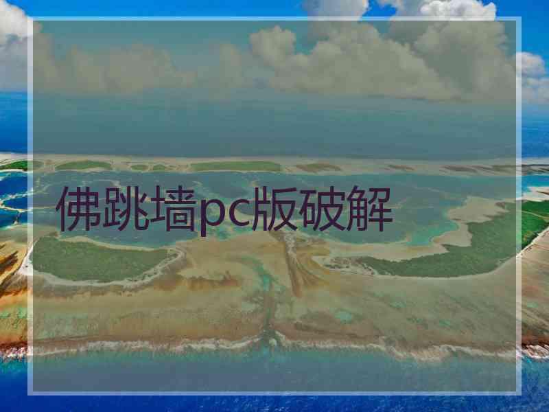 佛跳墙pc版破解