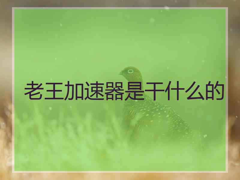 老王加速器是干什么的