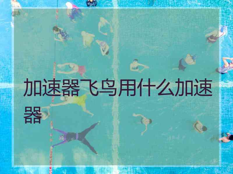 加速器飞鸟用什么加速器