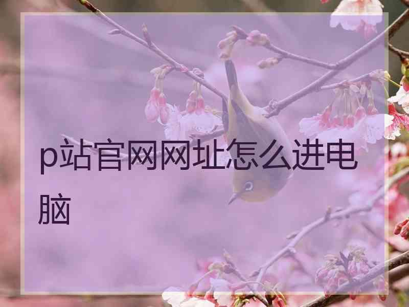 p站官网网址怎么进电脑