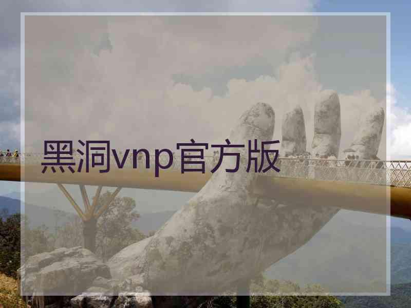 黑洞vnp官方版