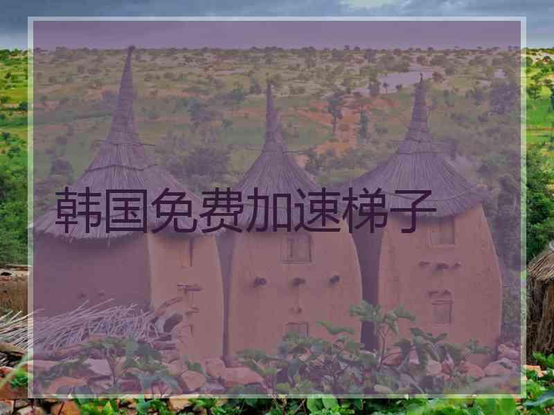 韩国免费加速梯子
