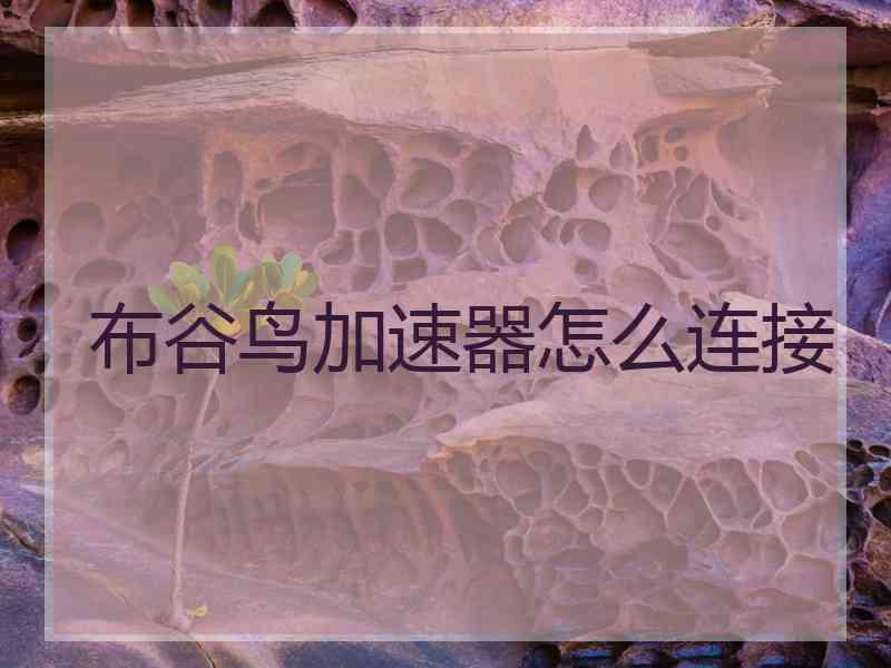 布谷鸟加速器怎么连接