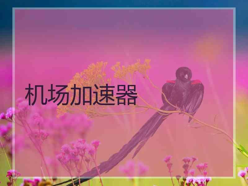 机场加速器