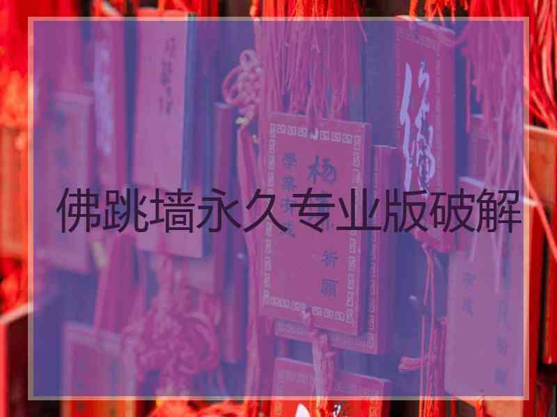 佛跳墙永久专业版破解
