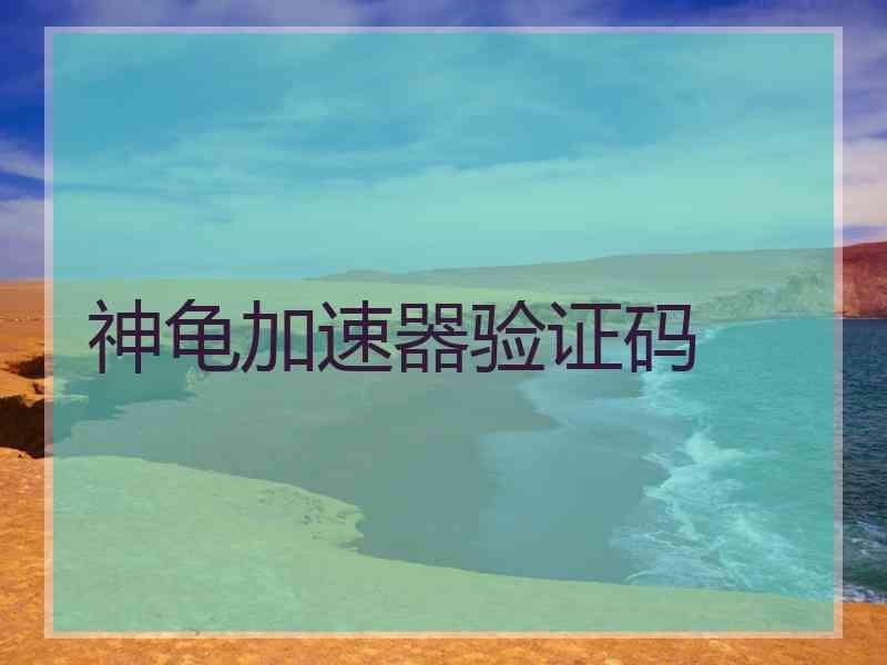 神龟加速器验证码