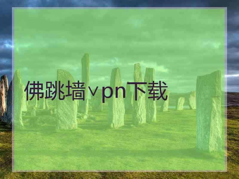 佛跳墙∨pn下载