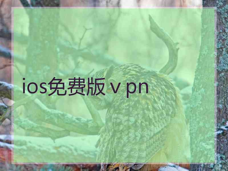 ios免费版ⅴpn