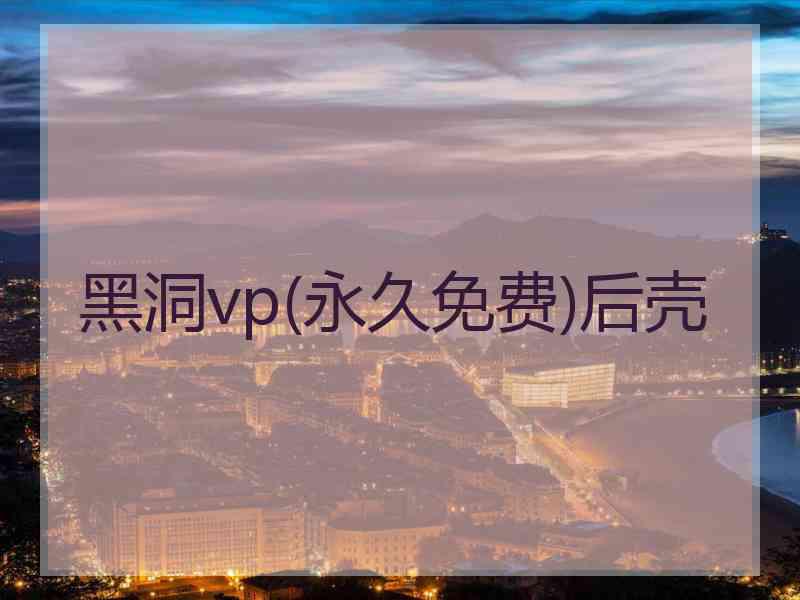 黑洞vp(永久免费)后壳