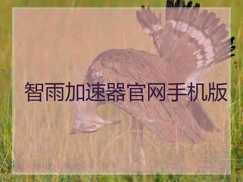 智雨加速器官网手机版