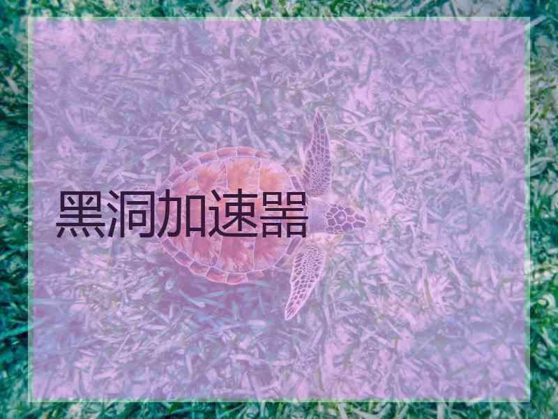 黑洞加速噐