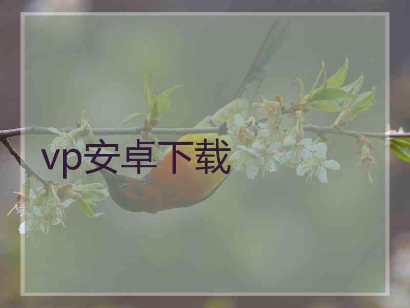 vp安卓下载