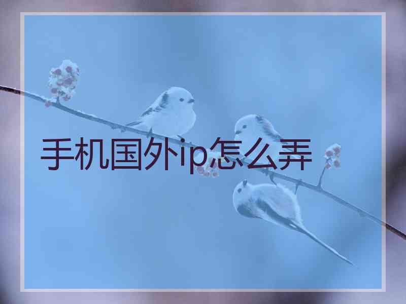 手机国外ip怎么弄