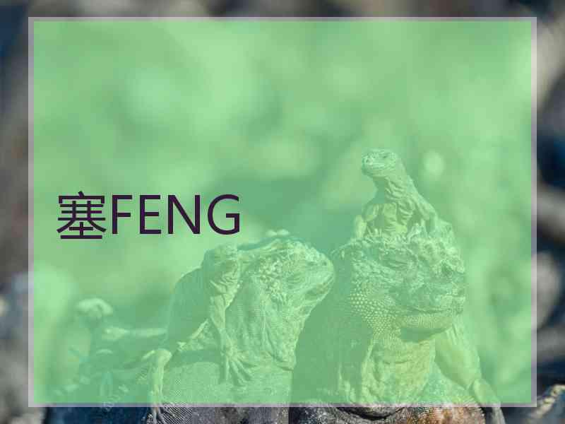 塞FENG