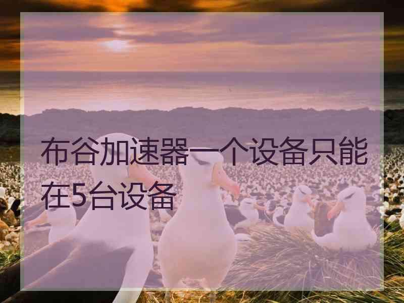 布谷加速器一个设备只能在5台设备