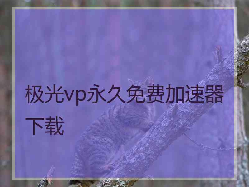 极光vp永久免费加速器下载