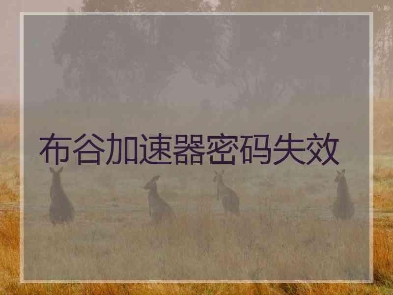 布谷加速器密码失效