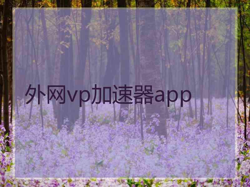 外网vp加速器app