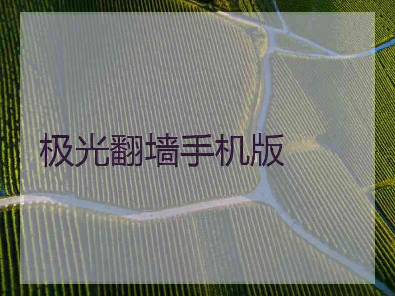 极光翻墙手机版