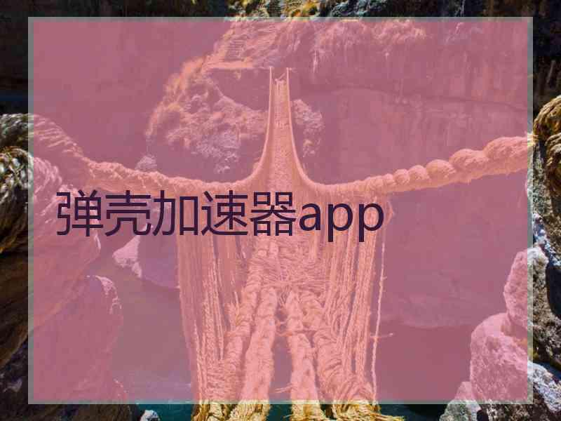 弹壳加速器app