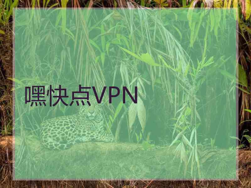 嘿快点VPN
