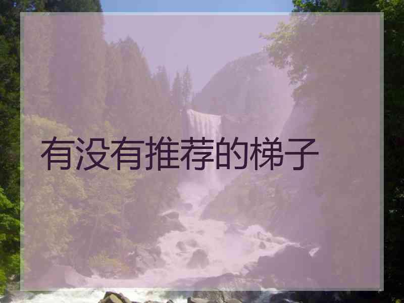 有没有推荐的梯子