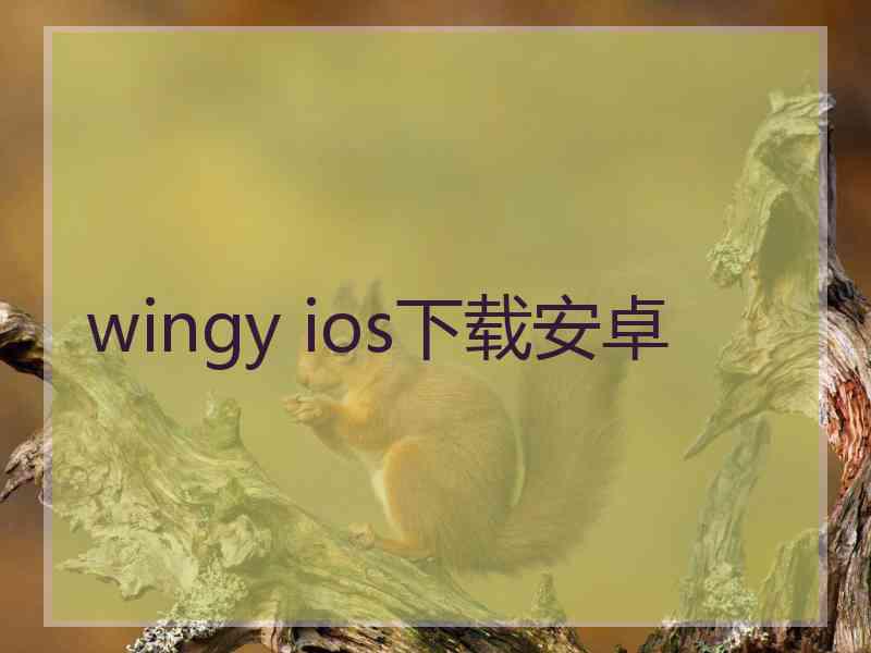 wingy ios下载安卓