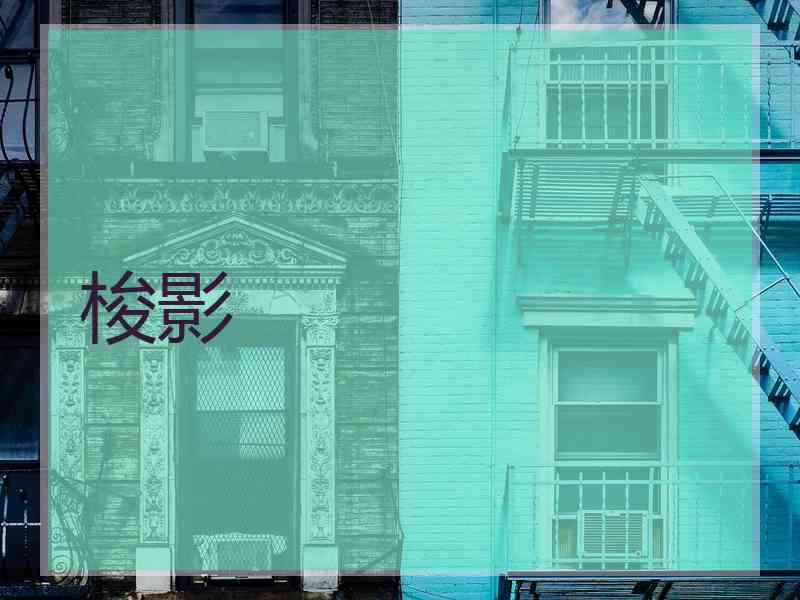 梭影