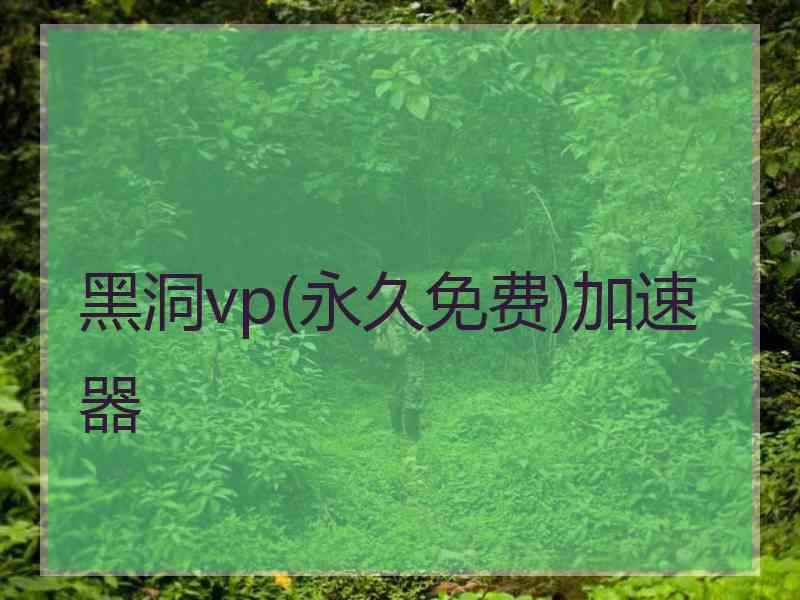 黑洞vp(永久免费)加速器