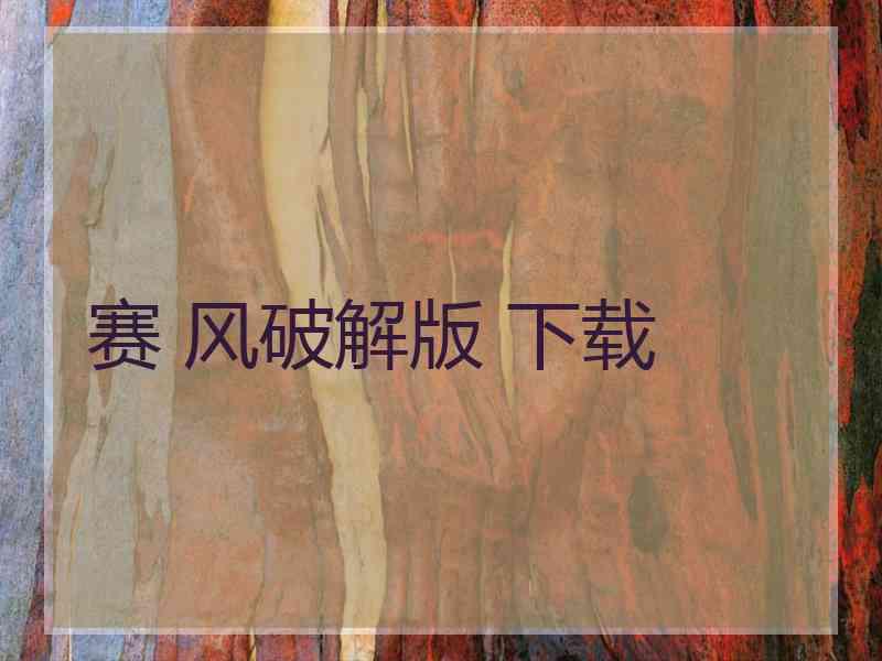 赛 风破解版 下载