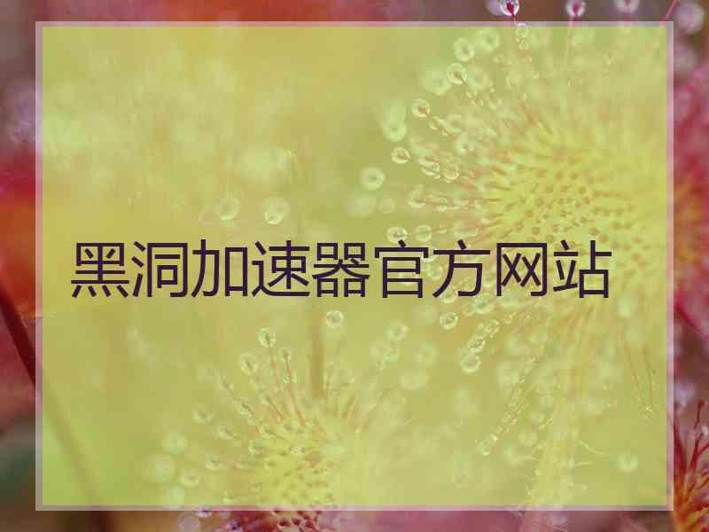 黑洞加速器官方网站