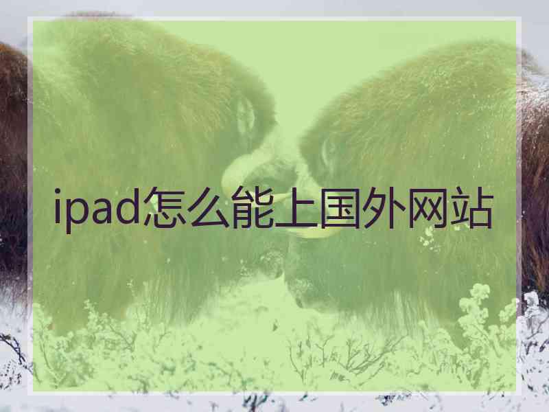 ipad怎么能上国外网站