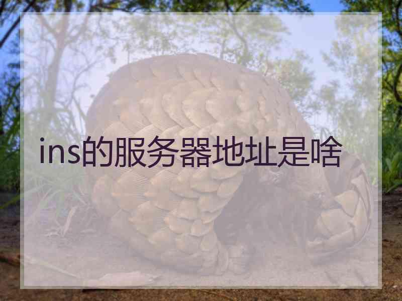 ins的服务器地址是啥