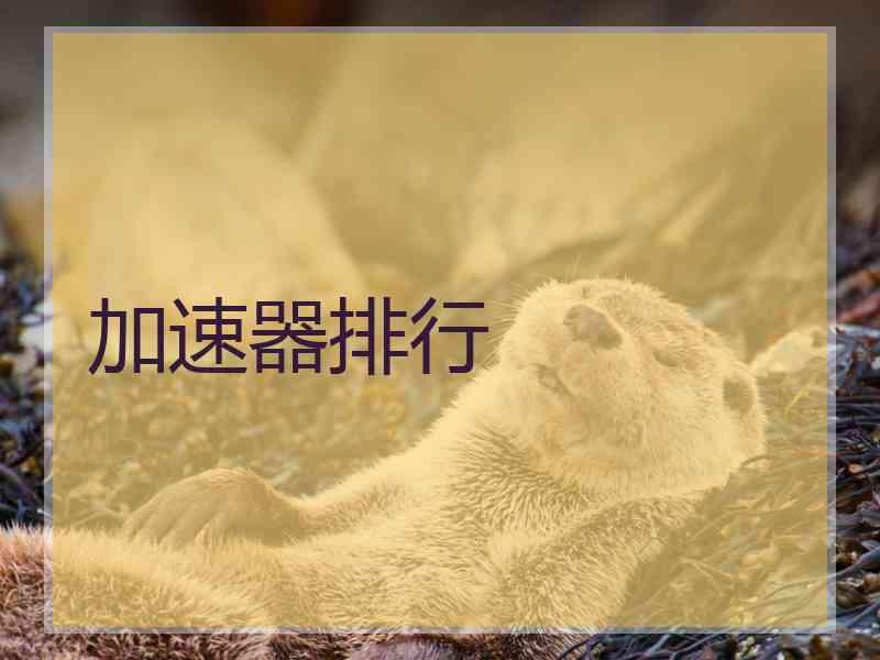 加速器排行