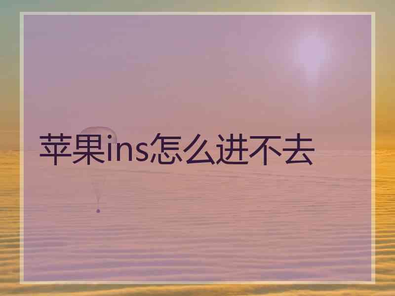 苹果ins怎么进不去